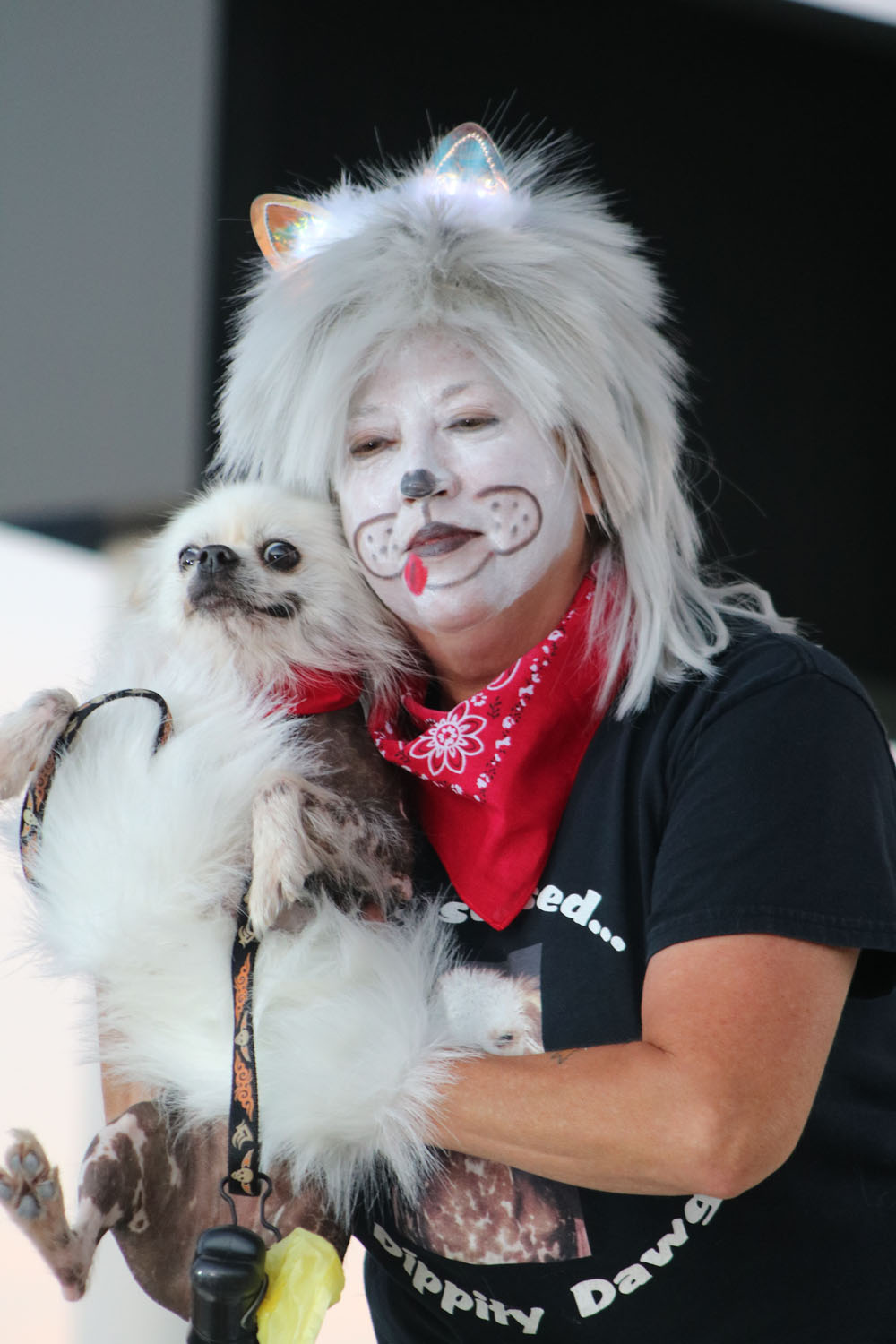 Pet Masquerade 2018 photo - Duval Street, Key West